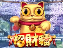 Fortune Cat